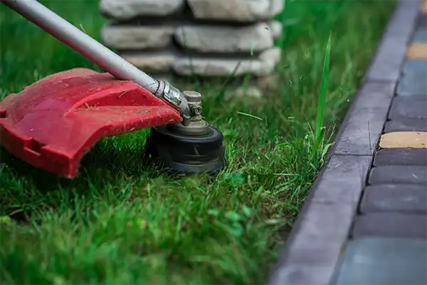 red weed whacker trimming the edge of a green lawn