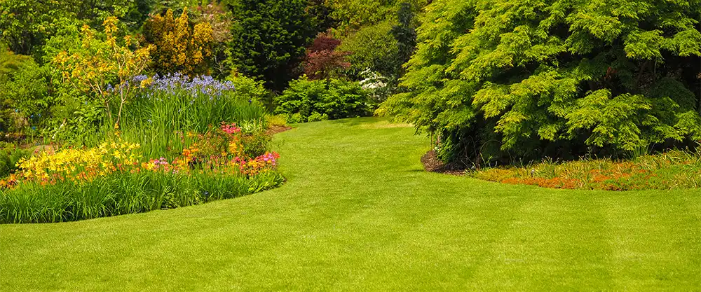Rapid City Lawn Experts